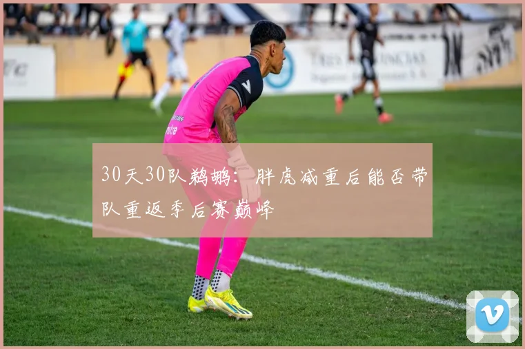 30天30队鹈鹕：胖虎减重后能否带队重返季后赛巅峰