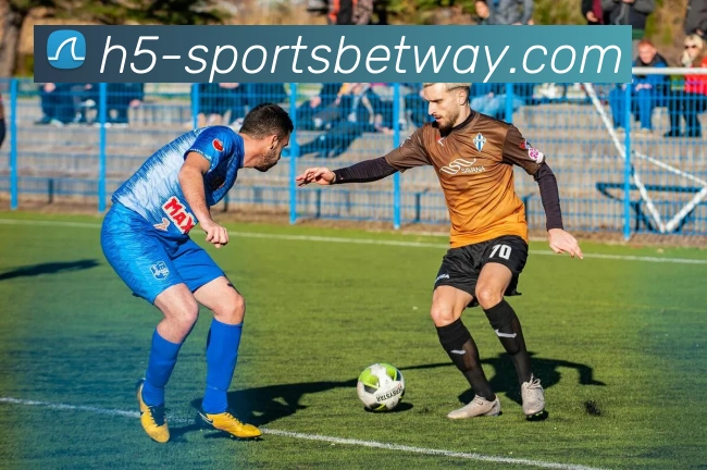 必威体育平台生态图