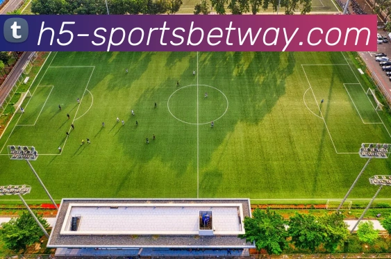 必威体育APP 封面图